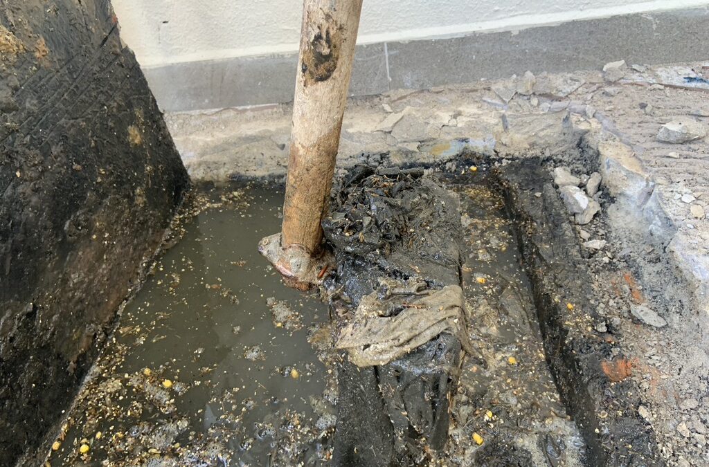 desentupidora; desentupidora em santo andre; desentupidora em maua; desentupidora em são caetano do sul; desentupidora em são paulo; desentupidora de esgoto; desentupidora 24h; desentupidora emergencial; desentupidora em são bernardo do campo; camera de video inspeção de esgoto; desentupidora na Mooca; desentupidora no Ipiranga; desentupidora em SP; desentupidora rápida; desentupidora no litoral; desentupidora em santos; desentupidora em Alphaville; desentupidora na zona leste; desentupidora mais proximo; desentupidora aberta 24h; desentupidora D5; Desentupidora D5; desentupidora na consolação; desentupidora em diadema; desentupidora em Guarulhos; desentupidora em Osasco; desentupidora no riacho grande; desentupidora em ribeirão pires; desentupidora no rio grande da serra; desentupidora em Barueri; desentupidora em cotia; desentupidora no campo belo; desentupidora no Cursino; desentupidora no Ibiraquera; desentupidora em Jabaquara; desentupidora no Sacomã; desentupidora na Vila Andrade; desentupidora na casa verde; Desentupidora na freguesia do o; desentupidora no bairro do limão sp; desentupidora no jacanã; desentupidora em Santana; desentupidora em Pirituba; desentupidora no Belem; desentupidora no belenzinho; desentupidora no Brás; desentupidora no item paulista; desentupidora em Itaquera; desentupidora na penha; desentupidora no Tatuapé; desentupidora na vila carrão; desentupidora no alto do pinheiros; desentupidora no Butantã; desentupidora no Itaim bibi; desentupidora no jardim paulista; desentupidora na lapa; desentupidora no Morumbi; desentupidora em perdizes; desentupidora na Pompeia; desentupidora na bela vista; desentupidora na barra funda; desentupidora no bom retiro; desentupidora no Cambuci; desentupidora na liberdade; desentupidora em campinas; desentupidora em louveira; desentupidora em americana; desentupidora no guarujá; Desentupidora na Avenida Caminho do Mar; Desentupidora em São Bernardo do Campo; Desentupidora na Avenida Senador Vergueiro; Desentupidora no Rudge Ramos; Desentupidora em São Paulo; Desentupidora no Demarchi; Desentupidora no Centro; Desentupidora no Assunção; Desentupidora no Baeta Neves; Desentupidora em Ferrazópolis; Desentupidora na Paulicéia; desentupidora no Centro; desentupidora no Jardim Santo André; desentupidora na Vila Luzita; desentupidora no Parque Capuava; desentupidora no Campestre; desentupidora na Vila Pires; desentupidora na Vila Guiomar; desentupidora na Cidade São Jorge; desentupidora no Valparaíso; desentupidora no Jardim Cristino; desentupidora em Santa Terezinha; desentupidora na Vila Humaitá; desentupidora em Paranapiacaba; desentupidora no Parque Andreense; desentupidora no Rudge Ramos; desentupidora no Baeta Neves; desentupidora na Paulicéia; desentupidora na Vila Santa Maria; desentupidora no Jardim Bela Vista; desentupidora na Vila Nova; desentupidora no Parque das Américas; desentupidora na Vila São José; desentupidora no Jardim da Represa; desentupidora na Vila Ligia; desentupidora no Jardim Alice; desentupidora na Vila São Pedro; desentupidora no Jardim Roberto; desentupidora na Vila Yara; desentupidora em City Bussocaba; desentupidora no Jardim Veloso; desentupidora em Piratininga; desentupidora no Jardim das Bandeiras; desentupidora na Vila Campesina; desentupidora em Gopouva; desentupidora na Vila Rio; desentupidora no Cecap; desentupidora no Inocoop; desentupidora no Jardim São João; desentupidora em Torres Tibagy; desentupidora no Bonsucesso; desentupidora na Vila Galvão; desentupidora no Pimentas; desentupidora em Cumbica; desentupidora no Jardim Presidente Dutra; desentupidora no Parque São Lourenço; desentupidora no Industrial; desentupidora na Vila Glória; desentupidora no Jardim Itacolomy; desentupidora no Santa Luzia; desentupidora na Vila do Doce; desentupidora no Parque Aliança; desentupidora na Vila Gomes; desentupidora em Ouro Fino Paulista; desentupidora no Jardim Caçula; desentupidora no Jardim Primavera; desentupidora no Jardim Oratório; desentupidora no Parque das Américas; desentupidora na Vila Assis Brasil; desentupidora em Capuava; desentupidora no Jardim Pilar; desentupidora na Sônia Maria; desentupidora na Vila Noêmia; desentupidora no Jardim Zaíra; desentupidora no Jardim Paineira; desentupidora em Taboão; desentupidora em Olímpico; desentupidora no Alvarenga; desentupidora em Nova Petrópolis; desentupidora no Batistini; desentupidora no Assunção; desentupidora no Planalto; desentupidora no Ferrazópolis; desentupidora em Jordanópolis; desentupidora na Independência; desentupidora no Taboão; desentupidora na Anchieta; desentupidora na Canhema; desentupidora no Centro; desentupidora em Santo Antônio; desentupidora em Santa Maria; desentupidora na Prosperidade; desentupidora em Barcelona; desentupidora na Fundação; desentupidora no Oswaldo Cruz; desentupidora na Nova Gerty; desentupidora na Boa Vista; desentupidora na Vila Nogueira; desentupidora no Parque Mamede; desentupidora na Serraria; desentupidora em Eldorado; desentupidora no Piraporinha; desentupidora no Campanário;