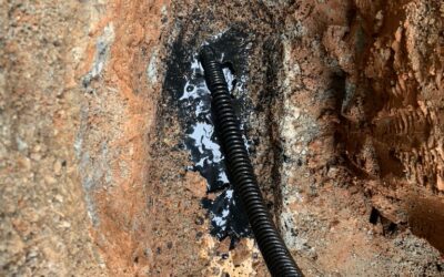 Desentupidora e Dedetizadora em Diadema