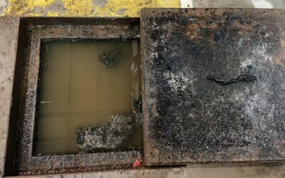 Desentupidora e Dedetizadora em Mauá