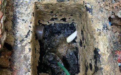 Desentupidora e Dedetizadora na Vila Prudente